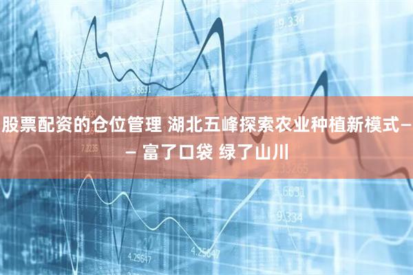 股票配资的仓位管理 湖北五峰探索农业种植新模式—— 富了口袋 绿了山川