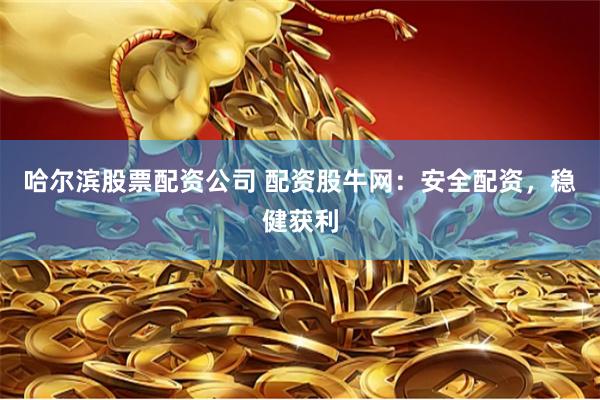 哈尔滨股票配资公司 配资股牛网：安全配资，稳健获利