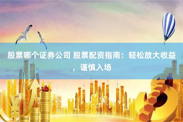 股票哪个证券公司 股票配资指南：轻松放大收益，谨慎入场